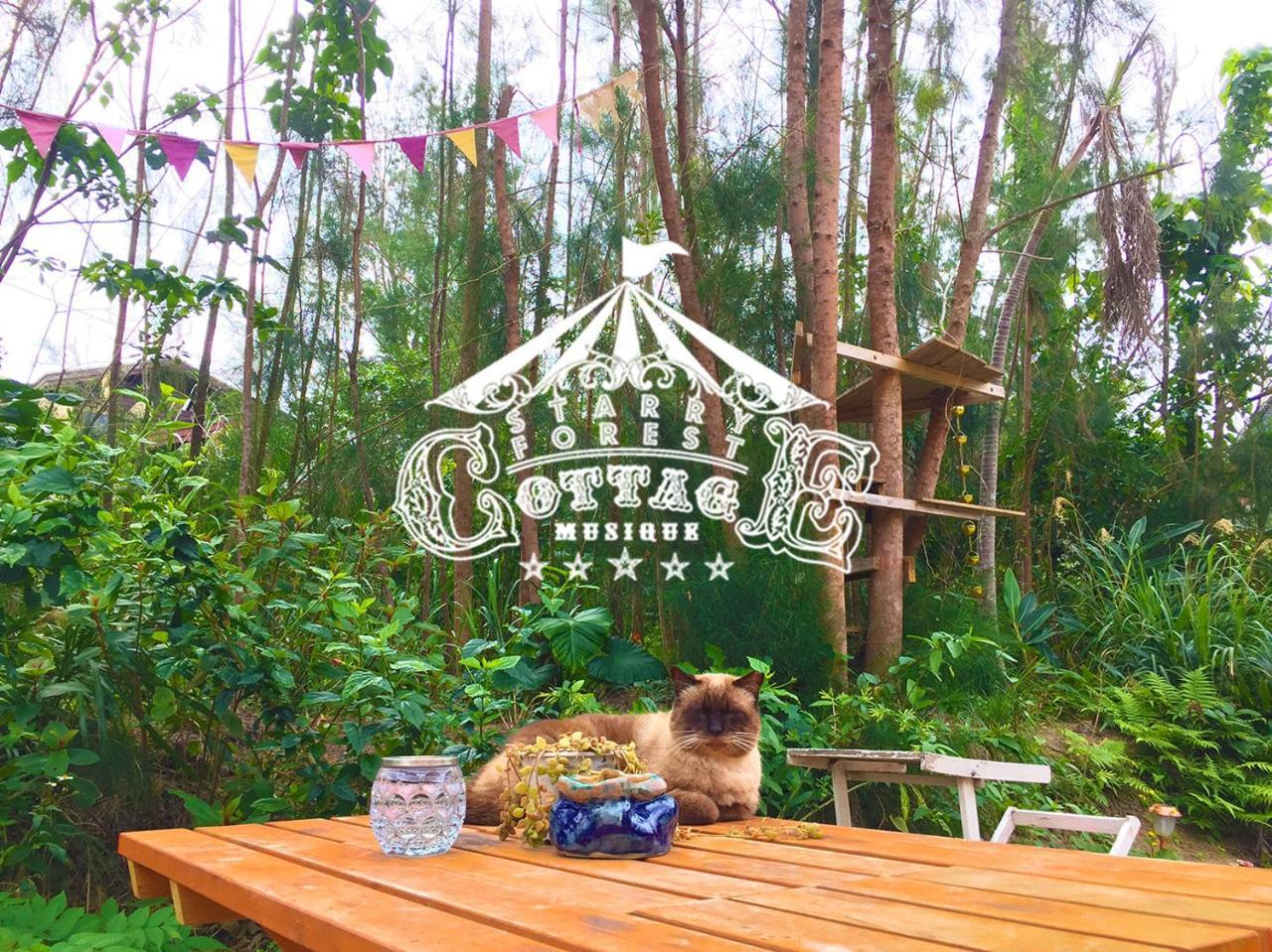 猫とピアノと星空のリゾートブティックコテージ - Starry Forest Cottage Okinawa - Onna Extérieur photo